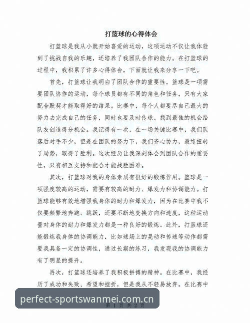 资深用户分享：完美体育官方平台使用心得与实战经验