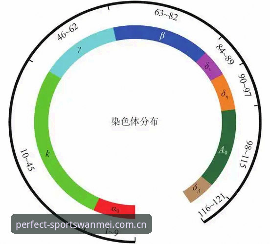 完美体育登录网址的5大核心优势与使用指南