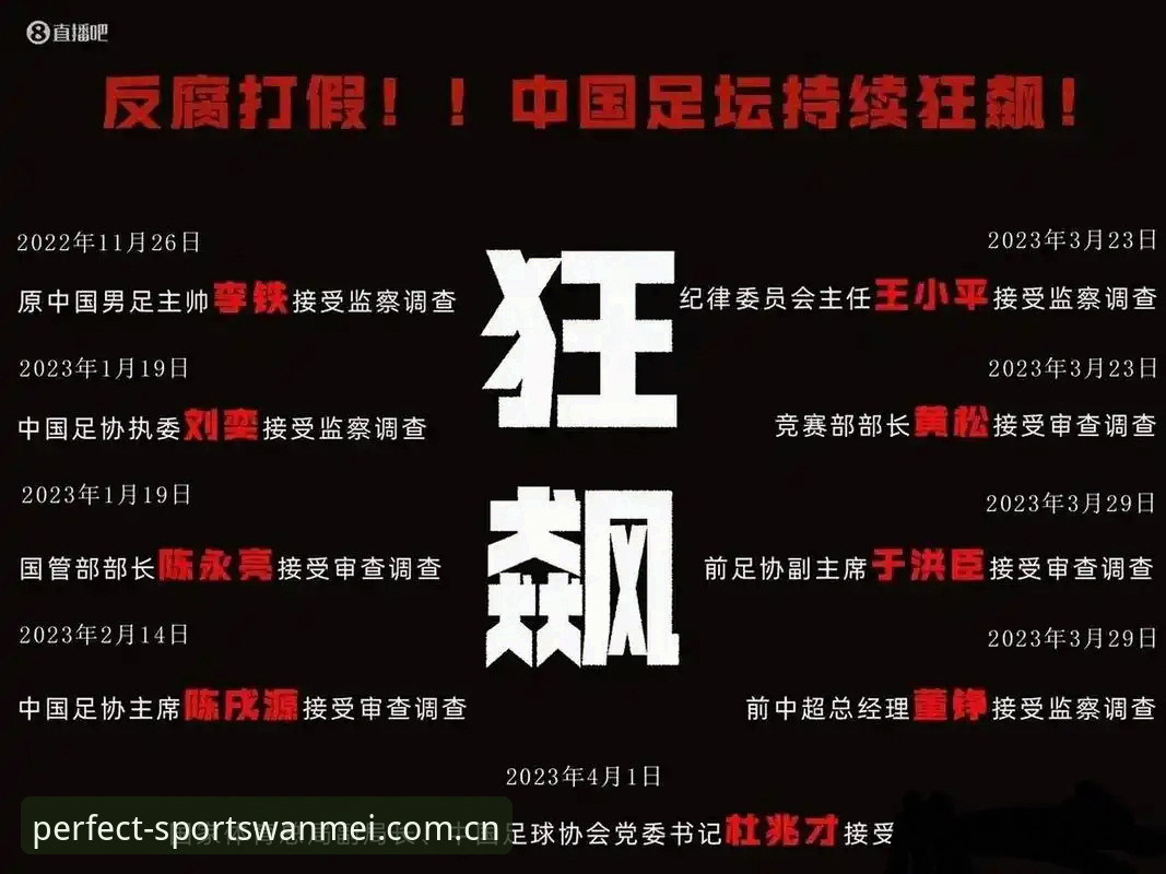 中国足协第三批禁足名单深度解读：理解足球反腐与行业自律的完整指南